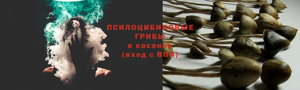 ПСИЛОЦИБИНОВЫЕ ГРИБЫ Карталы