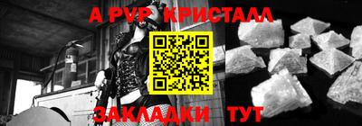 молекула духа Камышлов