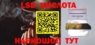 молекула духа Камышлов