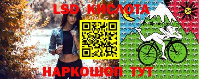 молекула духа Камышлов