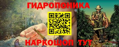 тгк Канаш