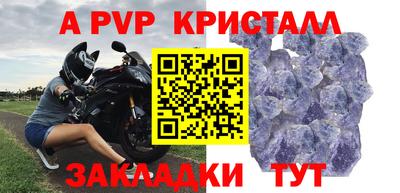 молекула духа Камышлов