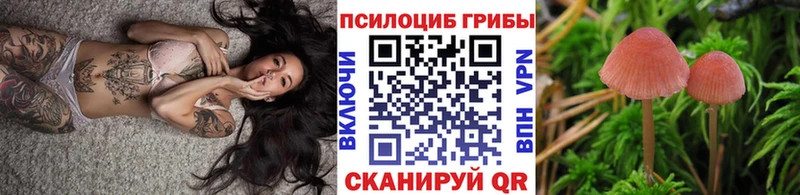 Галлюциногенные грибы ЛСД  дарк нет клад  Нерюнгри 