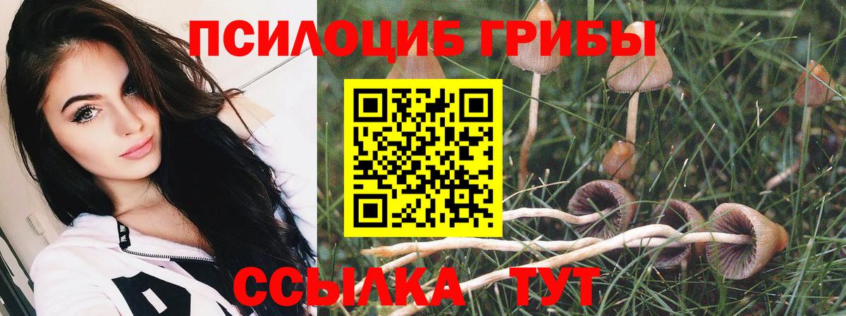 Псилоцибиновые грибы ЛСД Нерюнгри